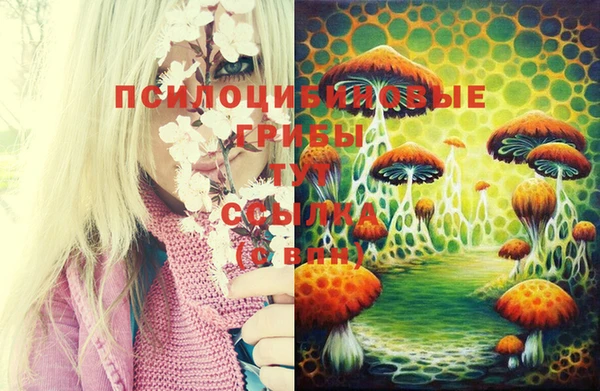 ECSTASY Беслан