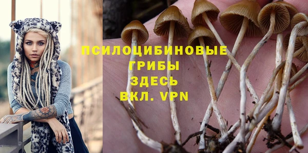дурь Остров