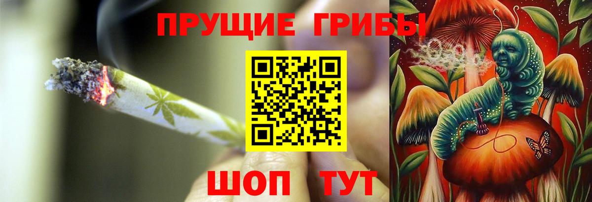 Псилоцибиновые грибы мицелий Таганрог